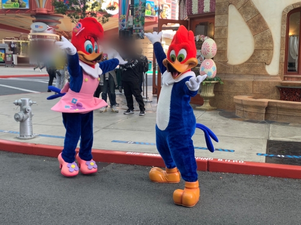 ウッディー・ウッドペッカー、ウィニー・ウッドペッカー